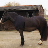 Rhinegold Lycra Stretch Vest