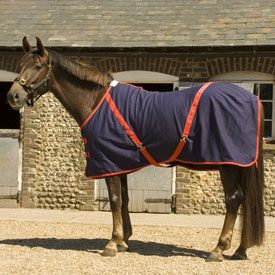 Rhinegold Summer Sheet