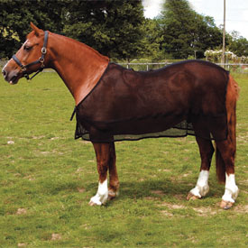 Rhinegold Anti-sweat Rug