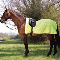 Rhinegold 3/4 Ride On Rug