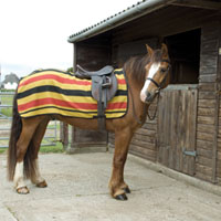 Rhinegold Wool 'Ride On'