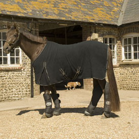 Rhinegold Silver/Gold Fleece