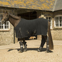 Rhinegold Silver/Gold Fleece