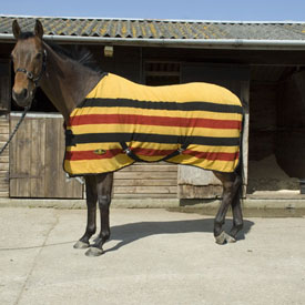Newmarket Striped Fleece