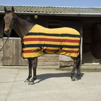 Newmarket Stripe Fleece