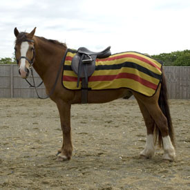 Rhinegold Newmarket Stripe 'Fleece' Ride On