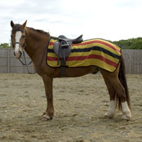 Rhinegold Newmarket Ride-On