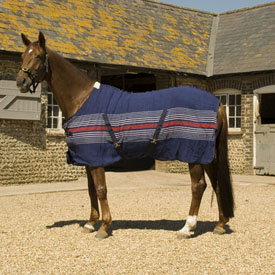 Newmarket Super Cooler