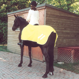 Rhinegold 3/4 Length Ride-On Mesh Rug