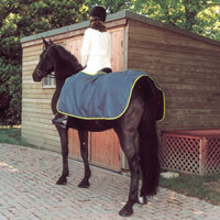 Rhinegold Ride On W/Proof