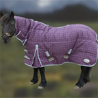 Rhinegold 'Boston Pony'