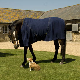 Rhinegold Multi Fleece