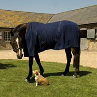 Rhinegold 'Multi Fleece'