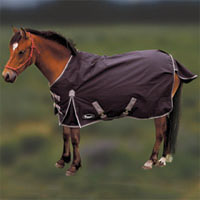 Rhinegold 'Konig' Pony/Foal