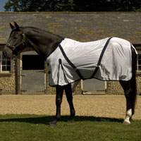 Fly Rug
