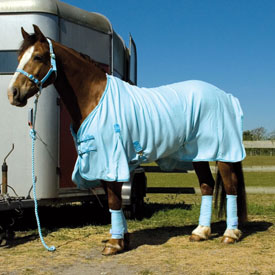 Rhinegold Fleece Sets