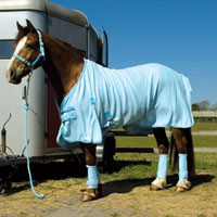 Rhinegold Fleece Sets