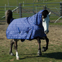 Rhinegold 'Combination'