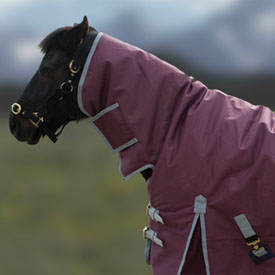 Rhinegold Aspen Pony