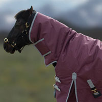 Rhinegold Aspen pony